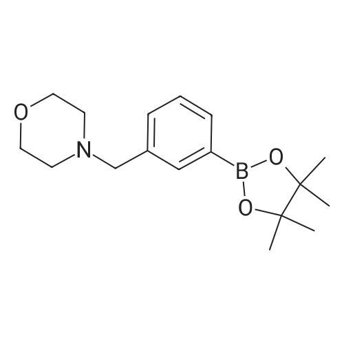 4-(3-(4,4,5,5-Tetramethyl-1,3,2-dioxaborolan-2-yl)benzyl)morpholine