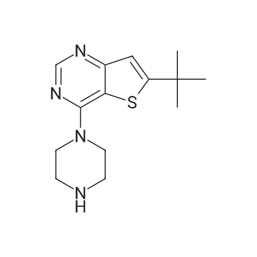 6-(tert-Butyl)-4-(piperazin-1-yl)thieno[3,2-d]pyrimidine