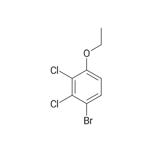 1-Bromo-2,3-dichloro-4-ethoxybenzene
