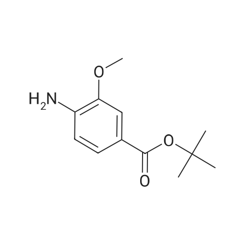 tert-Butyl 4-amino-3-methoxybenzoate
