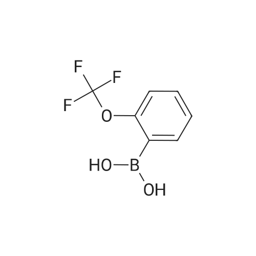 2-Trifluoromethoxyphenylboronic acid