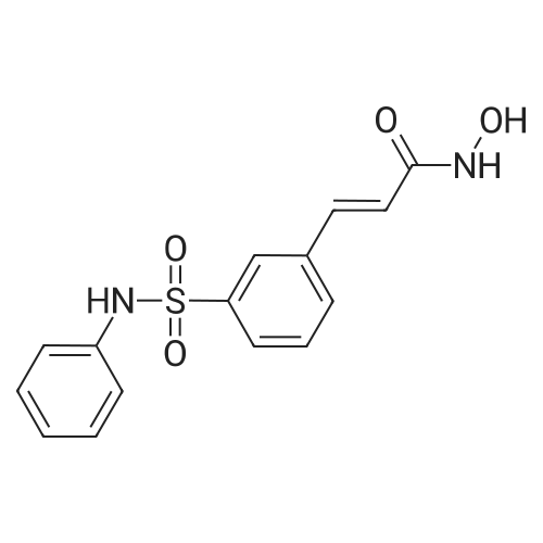 N-Hydroxy-3-(3-(N-phenylsulfamoyl)phenyl)acrylamide