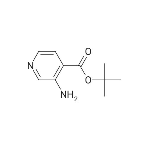 tert-Butyl 3-aminoisonicotinate
