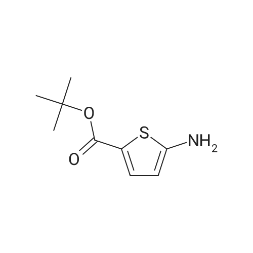 tert-Butyl 5-aminothiophene-2-carboxylate