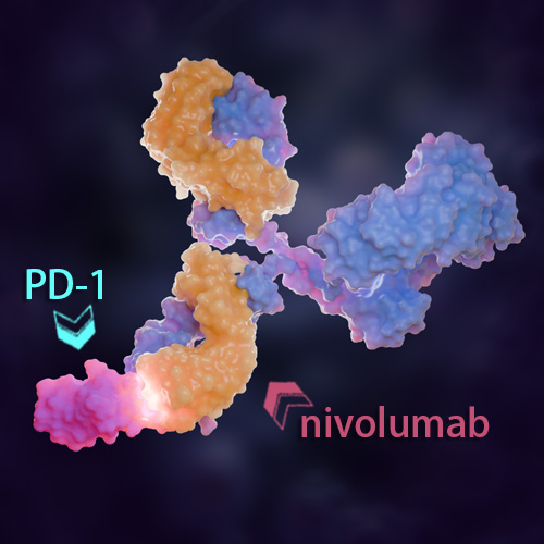 Nivolumab