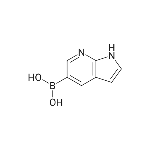 (1H-Pyrrolo[2,3-b]pyridin-5-yl)boronic acid