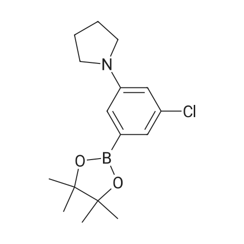 3-Chloro-5-pyrrolidinophenylboronic acid, pinacol ester