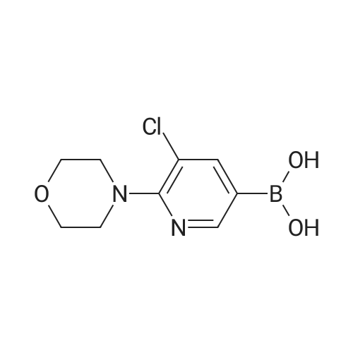 5-Chloro-6-morpholinopyridine-3-boronic acid