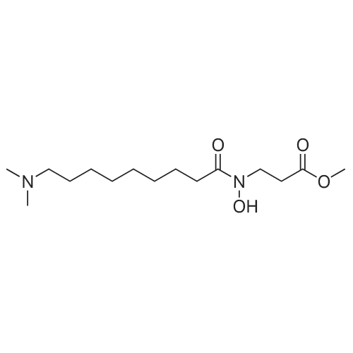 NCDM-32B