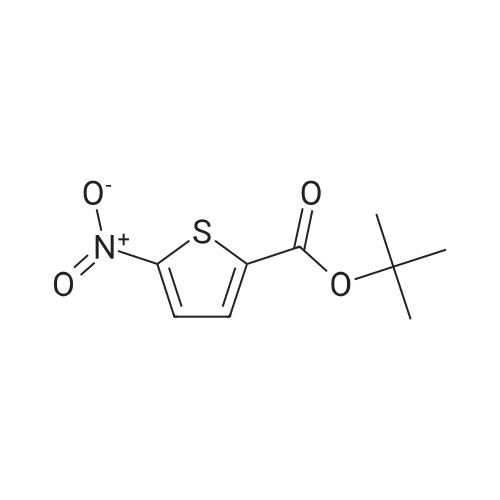 tert-Butyl 5-nitrothiophene-2-carboxylate
