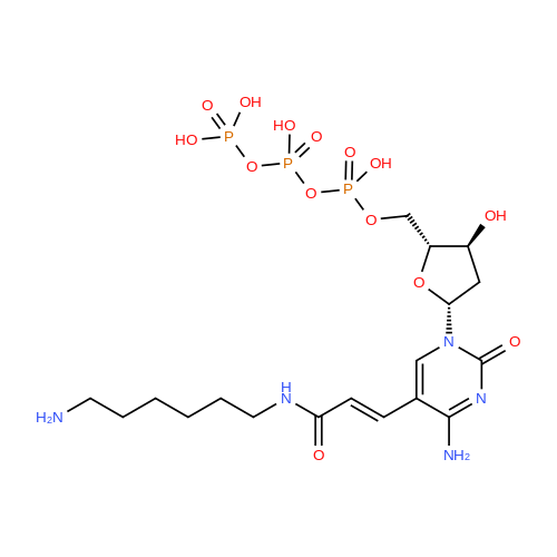 aha-dCTP