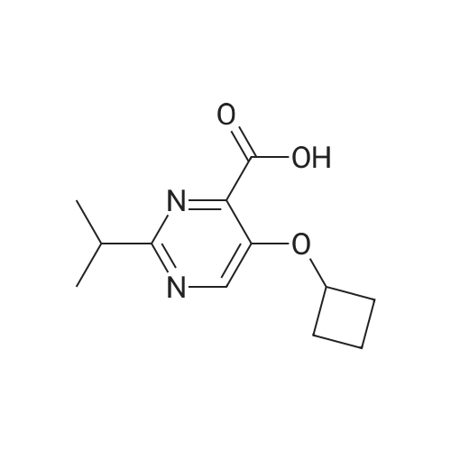 5-Cyclobutoxy-2-isopropylpyrimidine-4-carboxylic acid
