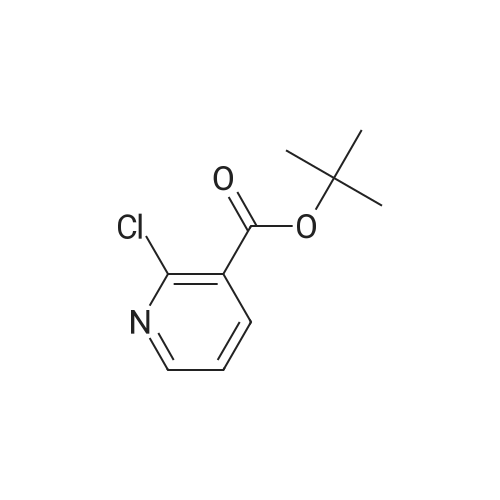 tert-Butyl 2-chloronicotinate
