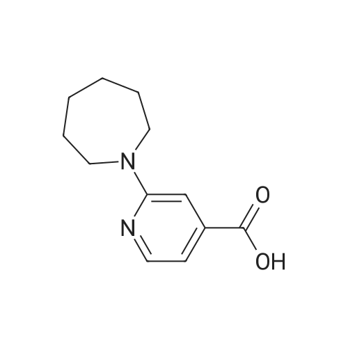 2-(Azepan-1-yl)isonicotinic acid