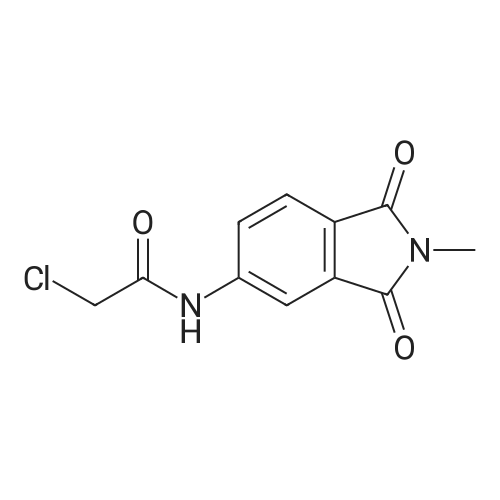 2-Chloro-N-(2-methyl-1,3-dioxo-2,3-dihydro-1H-isoindol-5-yl)acetamide