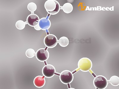 Sravanthi Ka Video Xxx - 34772-98-0|3-(Dimethylamino)-1-(thiophen-2-yl)prop-2-en-1-one| Ambeed