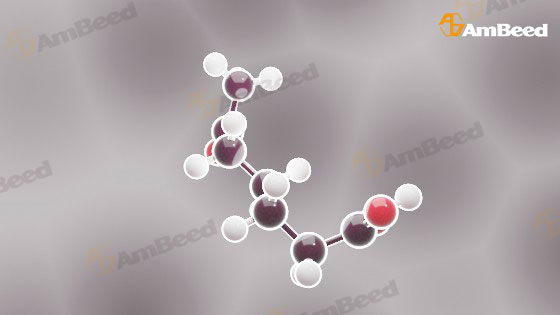 POMPA OXIGEN BRN CON MANOMETRO