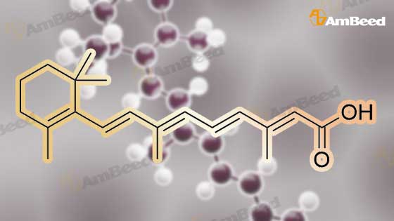 3d Animation Molecule Structure of 302-79-4