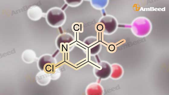 3d Animation Molecule Structure of 1013648-04-8