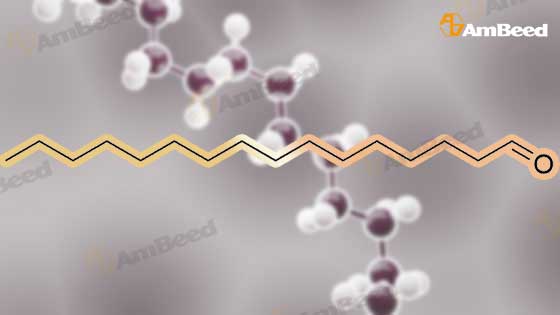 3d Animation Molecule Structure of 629-80-1