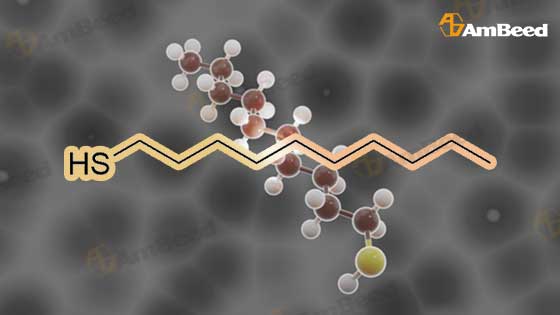 3d Visualizing Molecular Dynamics Simulation of CAS No. 143-10-2